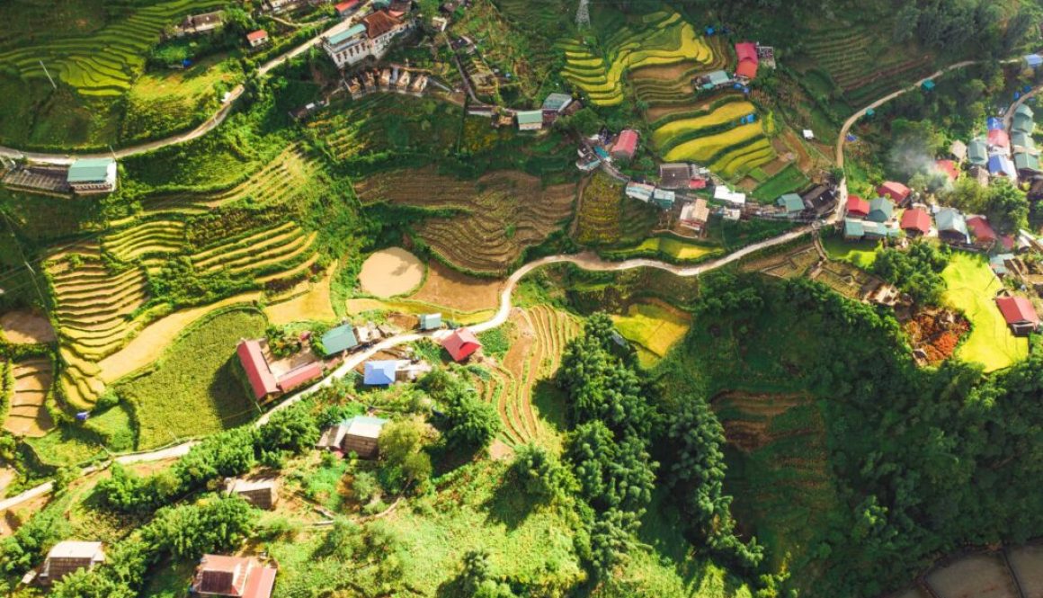 lao cai